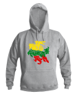 Džemperis Spalvotas Vytis Džemperis Spalvotas Vytis